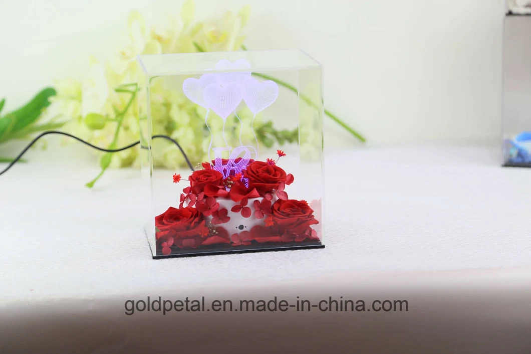 Valentine′s Day Christams Gift 3D Acrylic Light Night Lamp Scene with Preserved Flowers