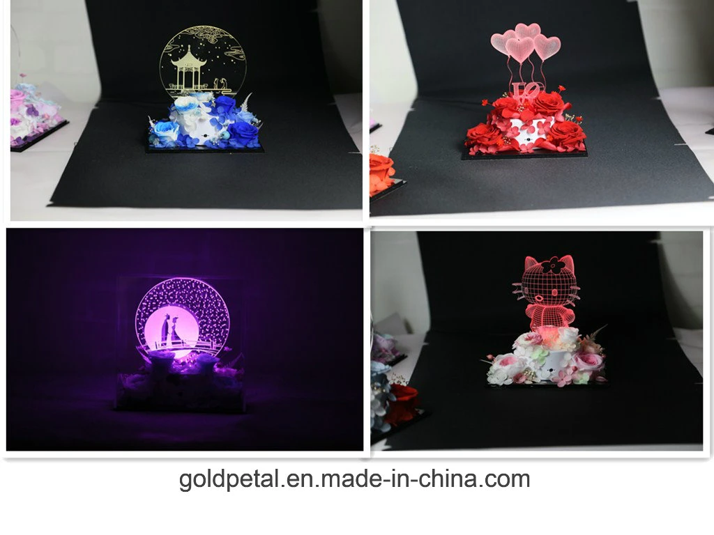 Valentine′s Day Christams Gift 3D Acrylic Light Night Lamp Scene with Preserved Flowers